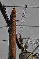 RJH_2269