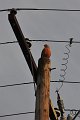 RJH_2270