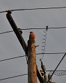 RJH_2271