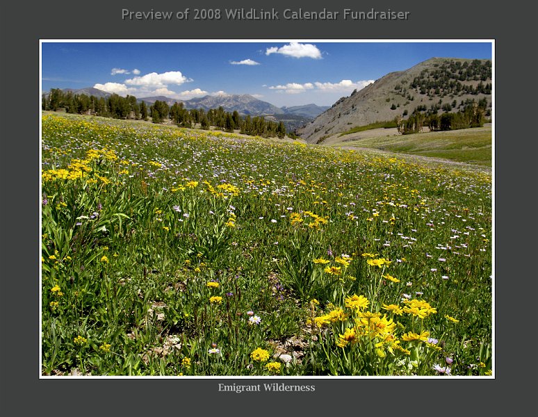 april.jpg - April 2009