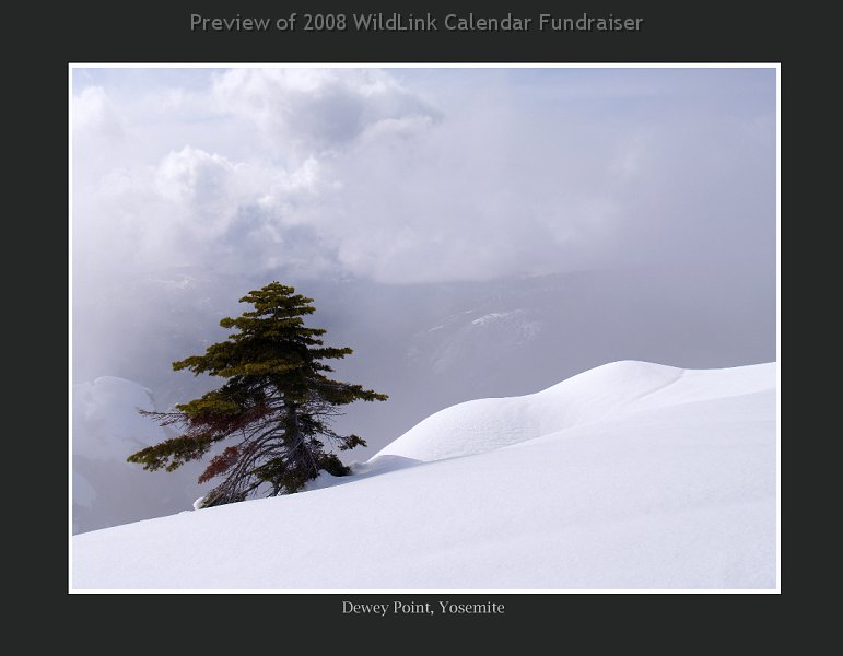 dec.jpg - December 2008