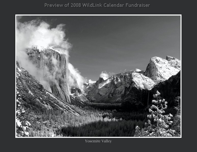 jan.jpg - January 2009