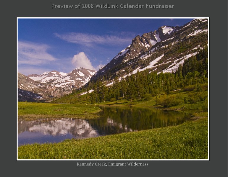 jun.jpg - June 2009