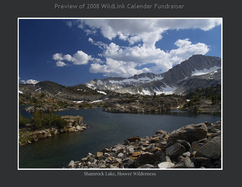 mar.jpg - March 2009