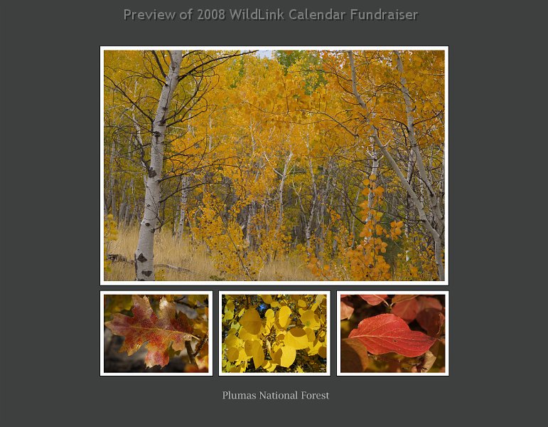 oct.jpg - October 2009