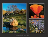2010_04Mar