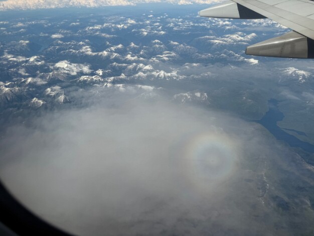 Flight Home