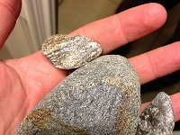 SCHIST!!!! EVERYWHERE!!!