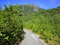 Trail to Nugger falls.  No biggie, right?  Until you consider these entire area has only been ice free for several decades.