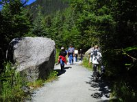 Big-ol erratics.