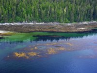 Blurry, I know.  But oh, the colors!  Obviously low tide.