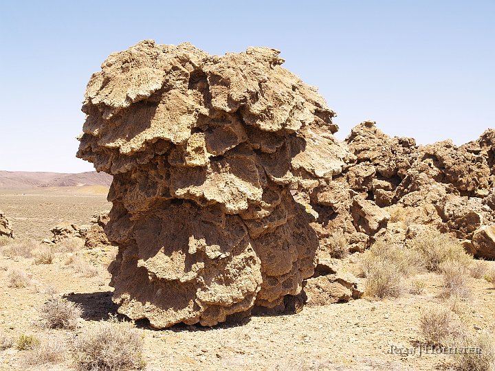 _5098951.JPG - These massive tufa towers are calcium carbonate deposits that precipitated out of solution while under the Pleistocene Ancient Lake Lahontan.  I'm still looking up the details, but I;d almost bet the hot springs in the area contributed to the formations.  I've also read that shoreline wave actions can mechanically precipiate the calcium carbonate.