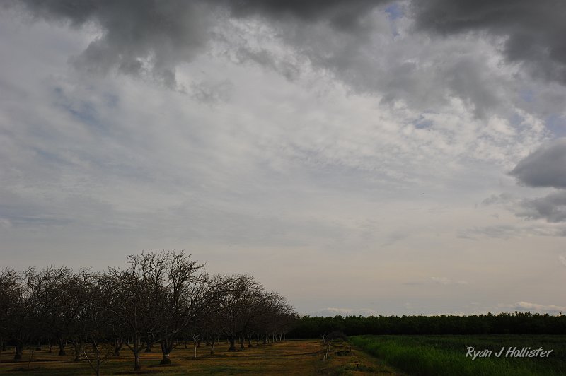 RJH_1019.JPG