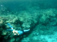 This blurry vision is not the camera's fault.  The camera was looking through a turbid halocline - a layer of less dense water atop a layer of less-mixed and more dense water below. The wierd refraction of light is caused by light's interplay with the different density mediums.