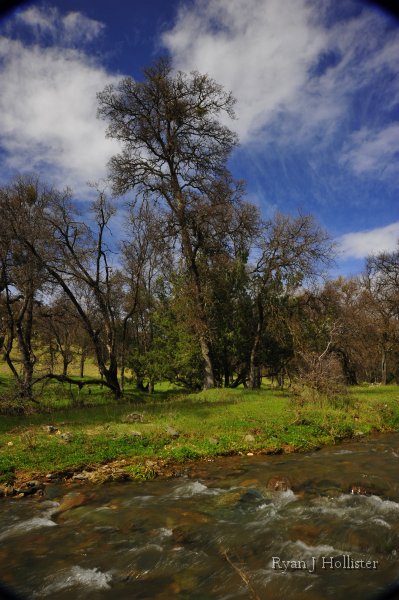 _RJH9231.JPG - Hatch Creek, Marshes Flat Road.