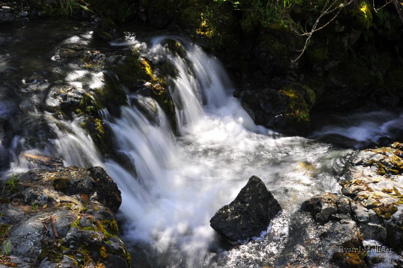 _RJH9253.JPG - Tributary of Hatch Creek, Marshes Flat Road.