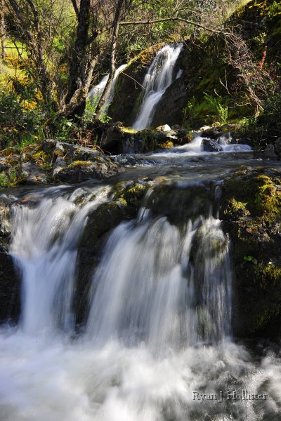 _RJH9256.JPG - Tributary of Hatch Creek, Marshes Flat Road.