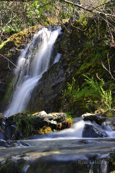 _RJH9262.JPG - Tributary of Hatch Creek, Marshes Flat Road.