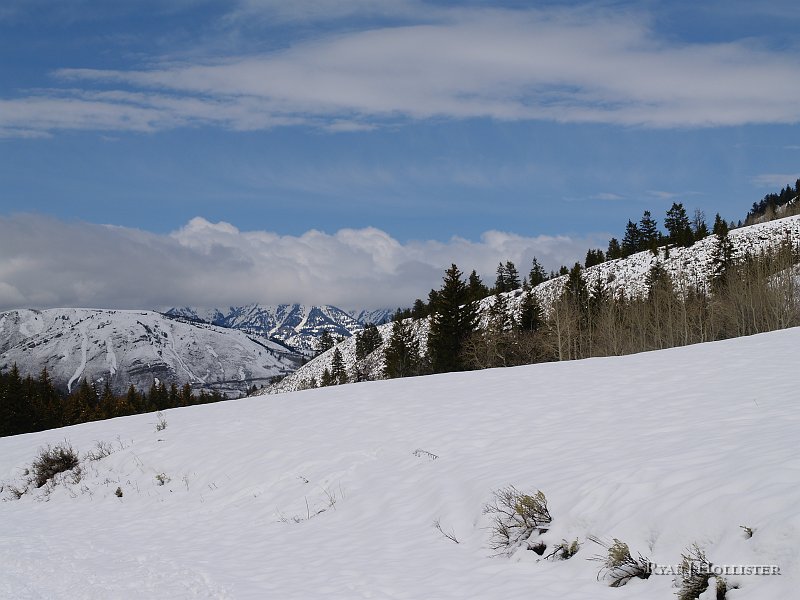 _4168380.JPG
