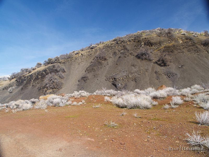_4188538.JPG - Welcome to our secret spot 4 miles out of Elko on HWY 225.  I like to call this area "Fossil Collecting for Dummies".   Why?  Even a dummy could find hundreds of fossils here in less than a minute.