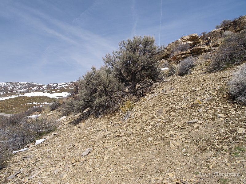 _4188552.JPG - Solid limestone outcrop with the fragments that are FULL of fossils.