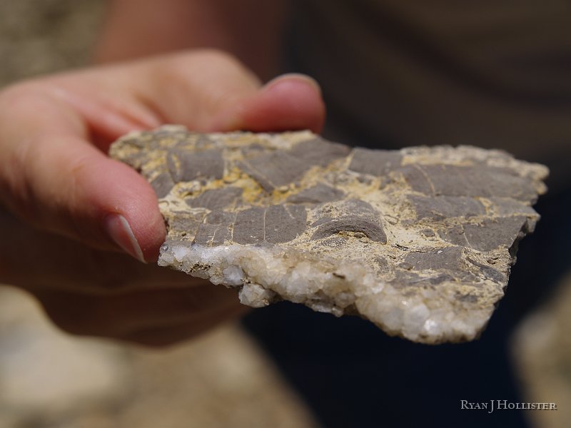 _4188573.JPG - Note the calcite crystals being formed.  I suspect the calcium carbonate from the limestone provide the molecules for calcite crystals.
