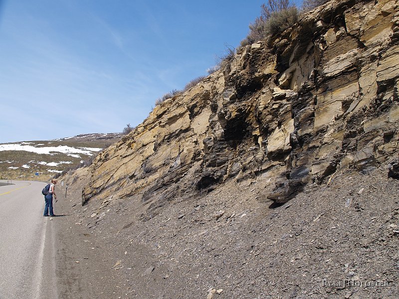 _4188574.JPG - The road cut.  By this time were getting hungry after spending nearly three hours looking for fossils.