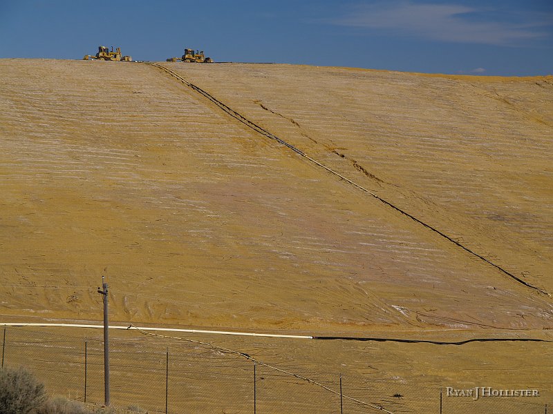 _4188591.JPG