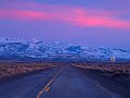 _4178535