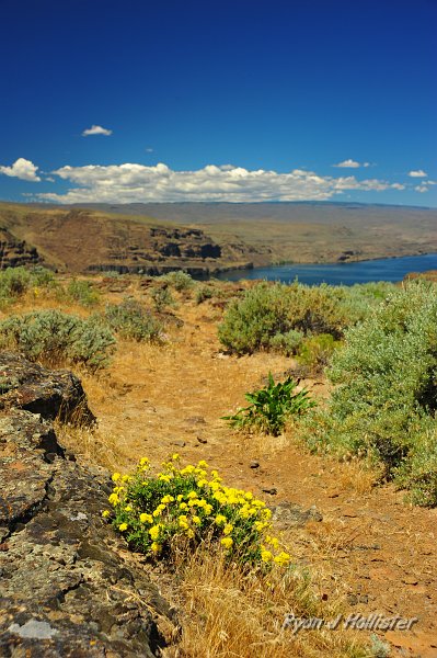 RJH_2875.JPG - Columbia River Gorge.