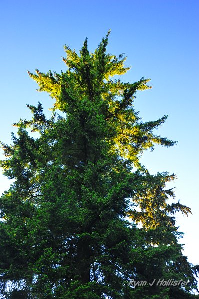 RJH_2919.JPG