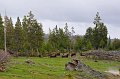 RJH_2603