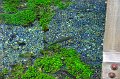 RJH_2699