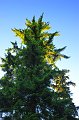 RJH_2919
