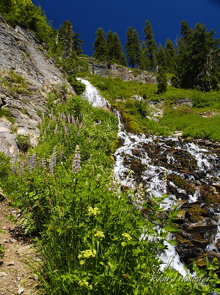 _7200433.JPG - Vidae Falls