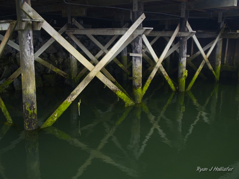 _7210527.JPG - This shot had potential, but I rushed it going up the dock.