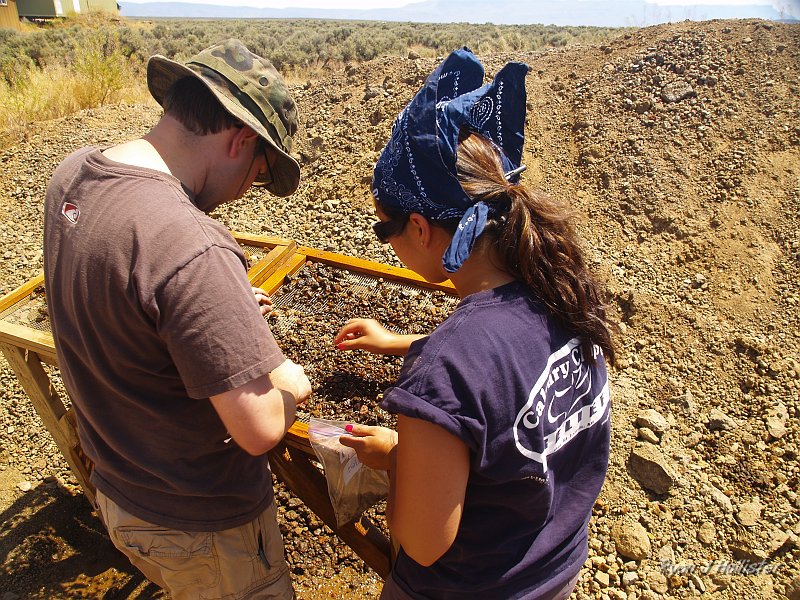 _7180312.JPG - Dave & Ericka really got into the sifting.  I think they were the most efficient.