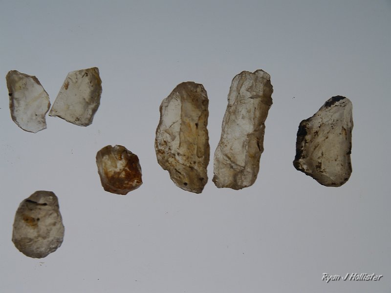 _7240561.JPG - Not much color, but they are large.