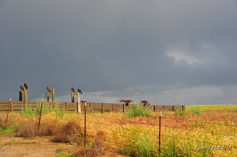 RJH_2230.JPG - On our drive home, the interesting May cold front provded some great shots of vultures & rainbows and clouds.  I smashed my thumb in the car door getting out here.