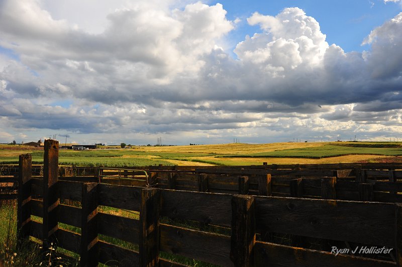 RJH_2240.JPG
