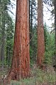 RJH_2220