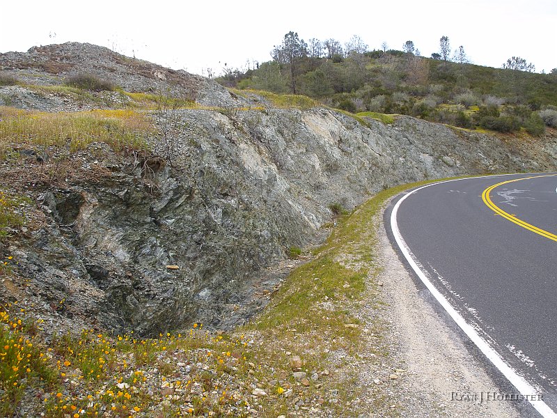 _3217244.JPG - A great exposure of serpentine: the California State Rock.  Its metamorphic origins give it a snake-skin texture, hence the name.