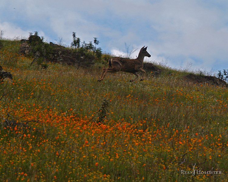 _3217248.JPG - I got a little too close, though.