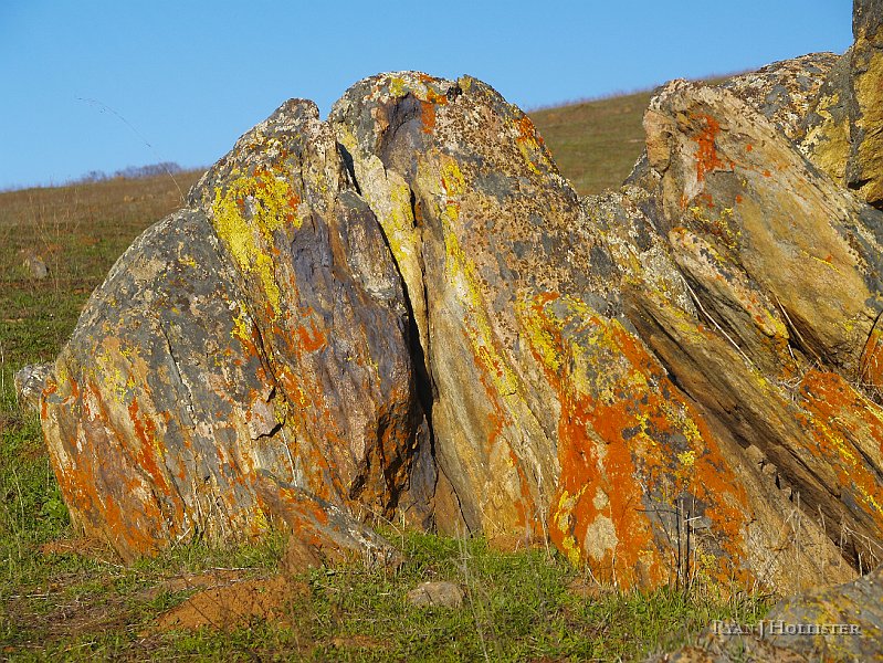 _1316502.JPG - These rocks rock.