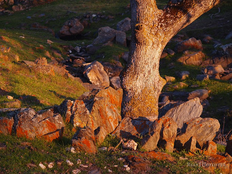 _1316572.JPG - OLYMPUS DIGITAL CAMERA