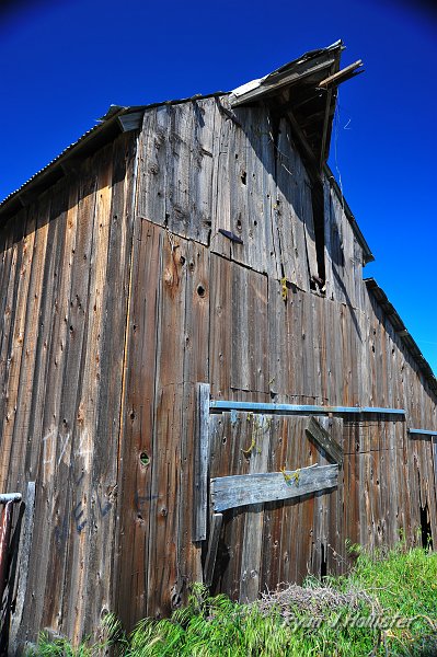 RJH_0942.JPG