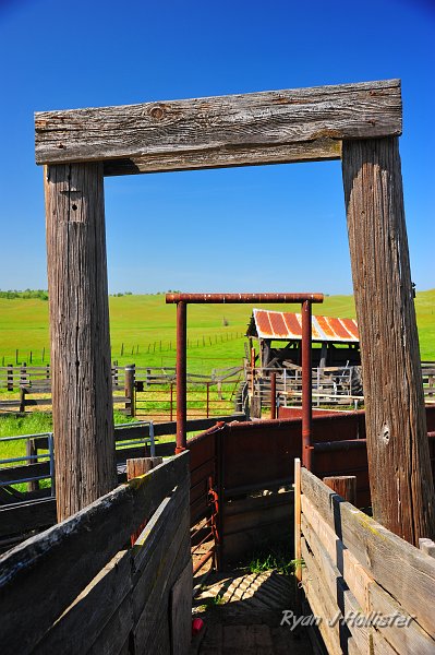 RJH_0947.JPG
