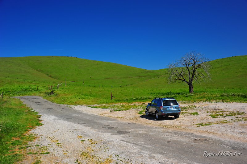 RJH_0948.JPG
