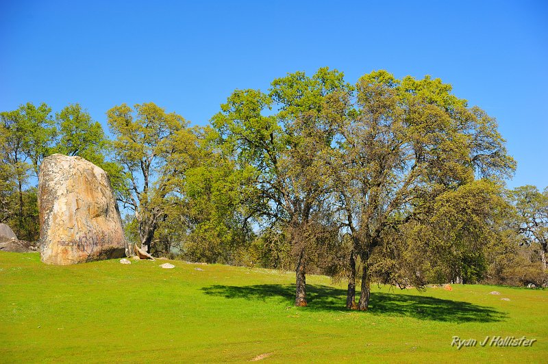 RJH_0955.JPG
