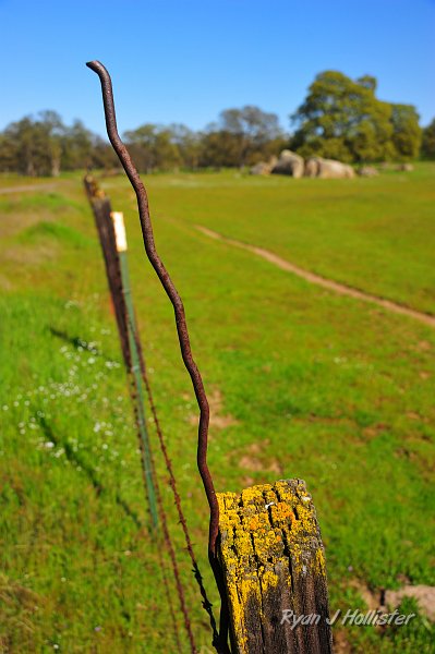 RJH_0957.JPG